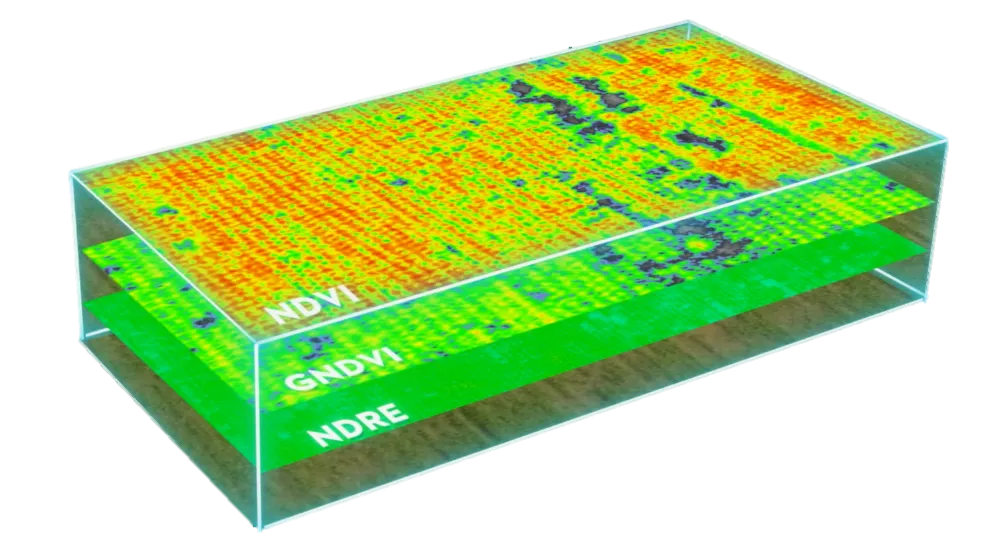 Mavic 3 Multispectral vs Phantom 4 Multispectral