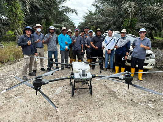 Enhancing Pest Management in Oil Palm Plantations with DJI Agriculture Drones